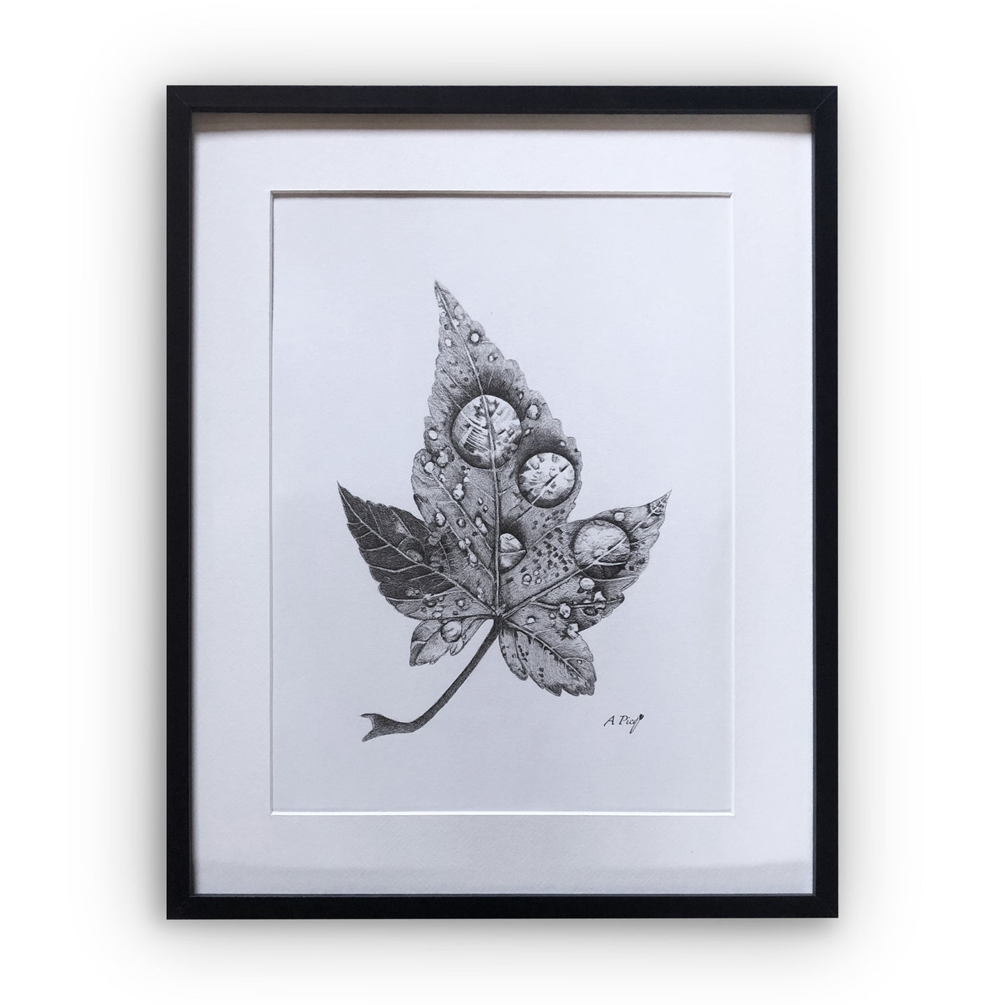 Gouttes d'eau - Dessin