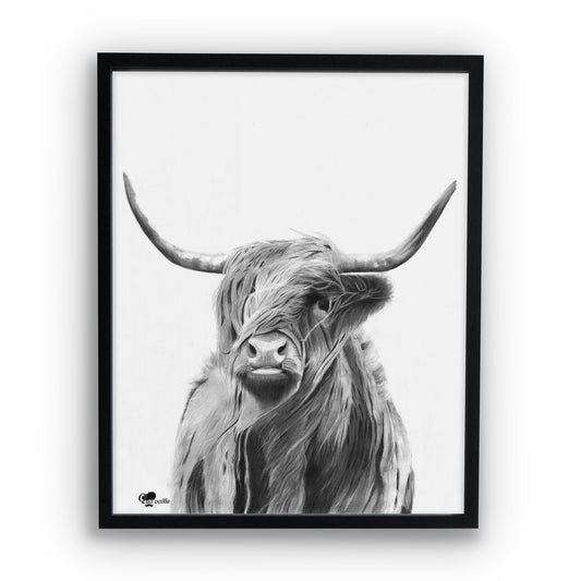 Shetland in the wind - Dessin